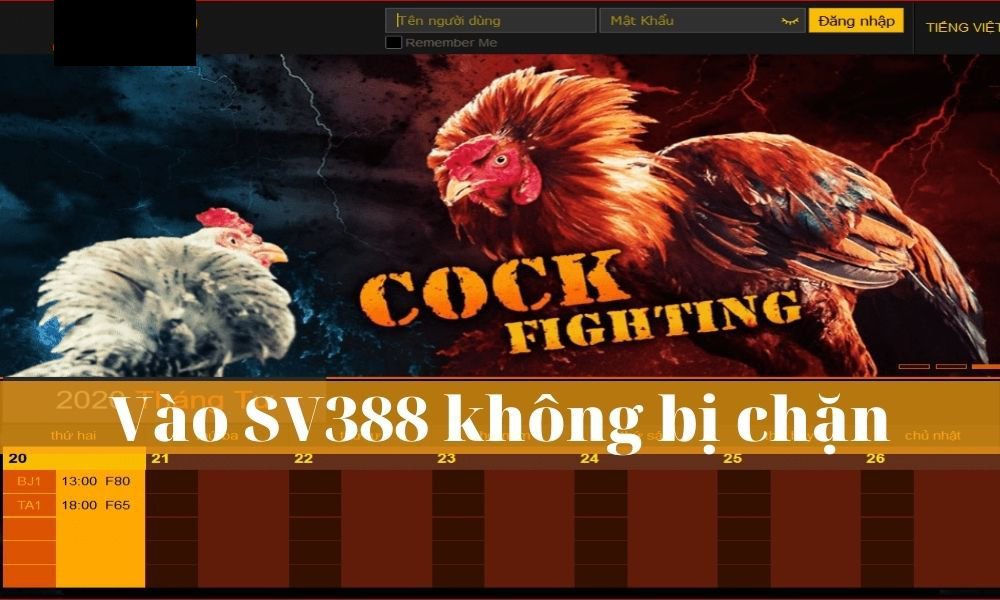 Lý do mà bạn nên đăng nhập Sv388 qua các đường link không bị chặn